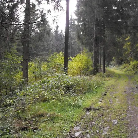 In * Wildemann