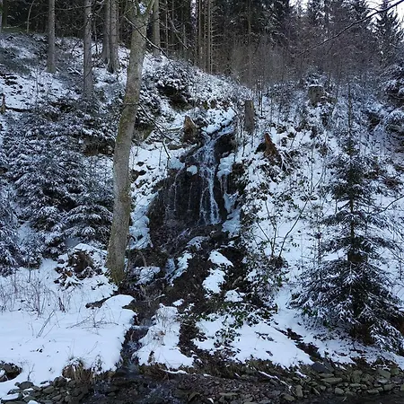 In * Wildemann