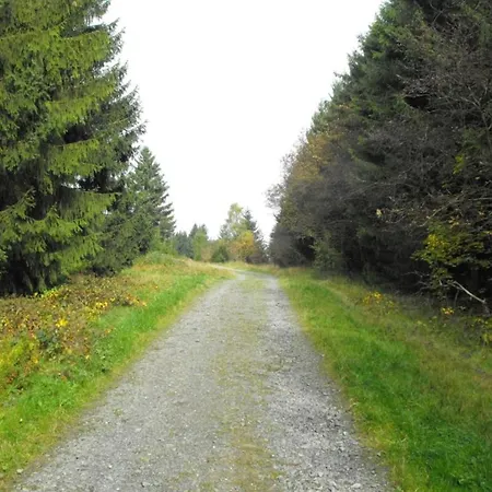 Apartmán In Wildemann