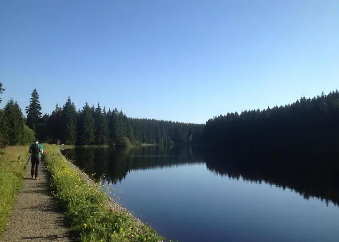 Διαμέρισμα In