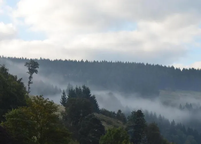 Διαμέρισμα In *