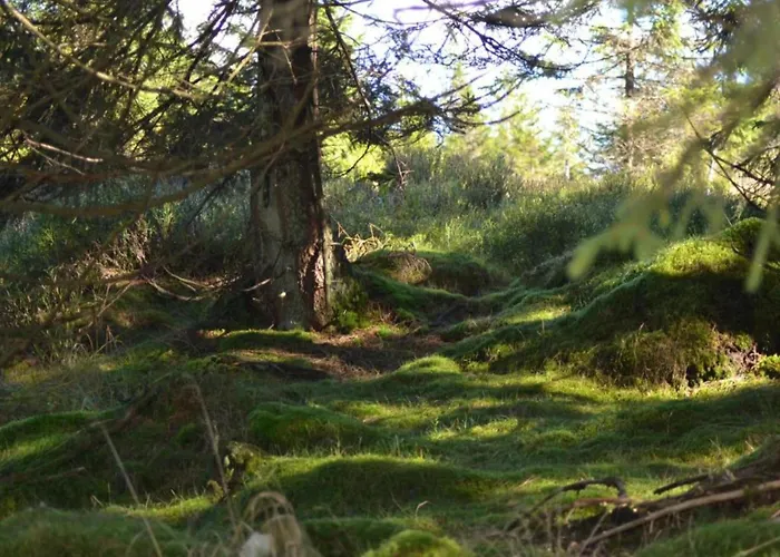 In Διαμέρισμα