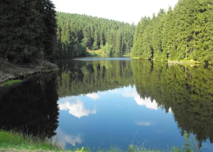 Διαμέρισμα In