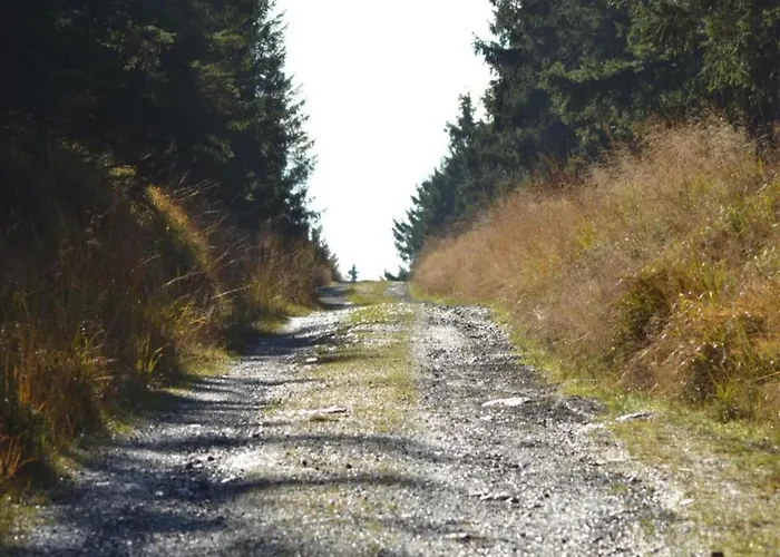 Διαμέρισμα In