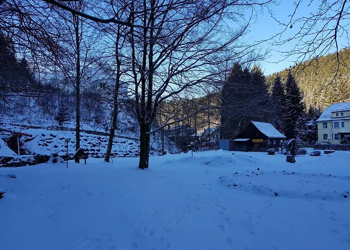 In Διαμέρισμα *