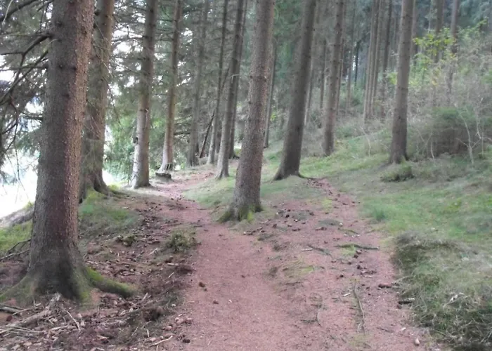 Διαμέρισμα In Wildemann