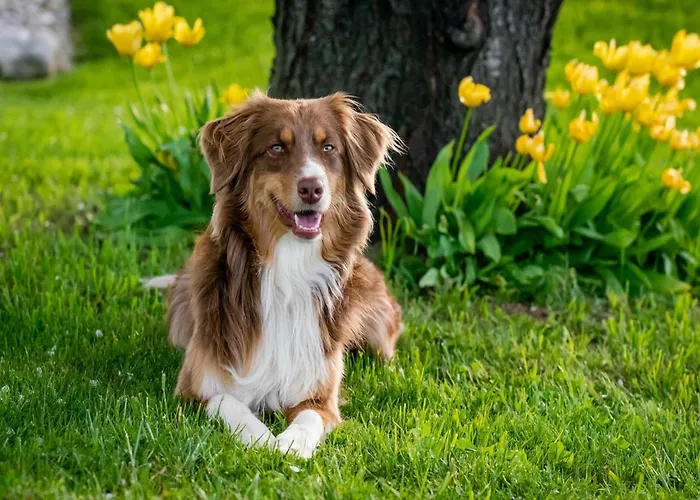 In Διαμέρισμα *